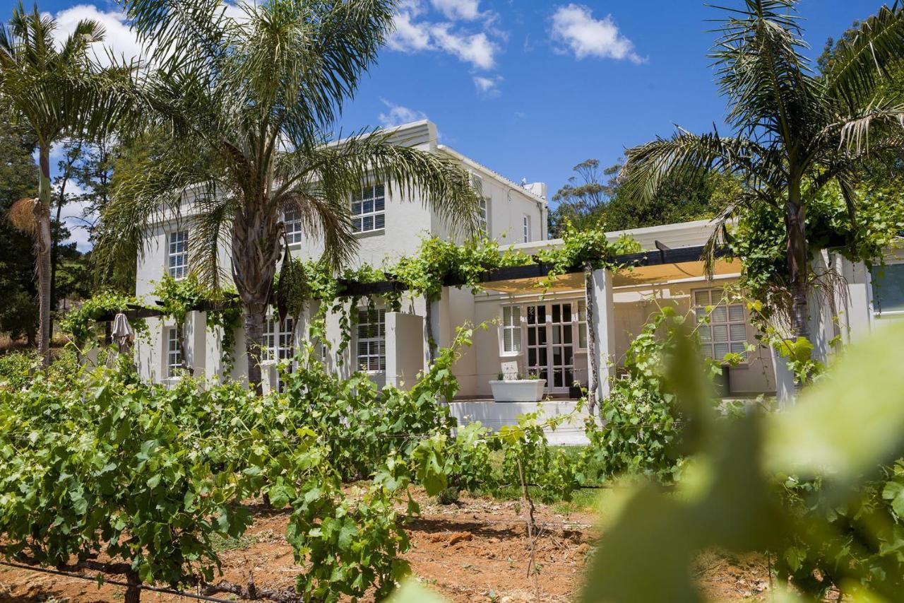 Kunjani * Stellenbosch